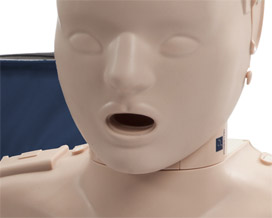Prestan Child CPR Manikin head